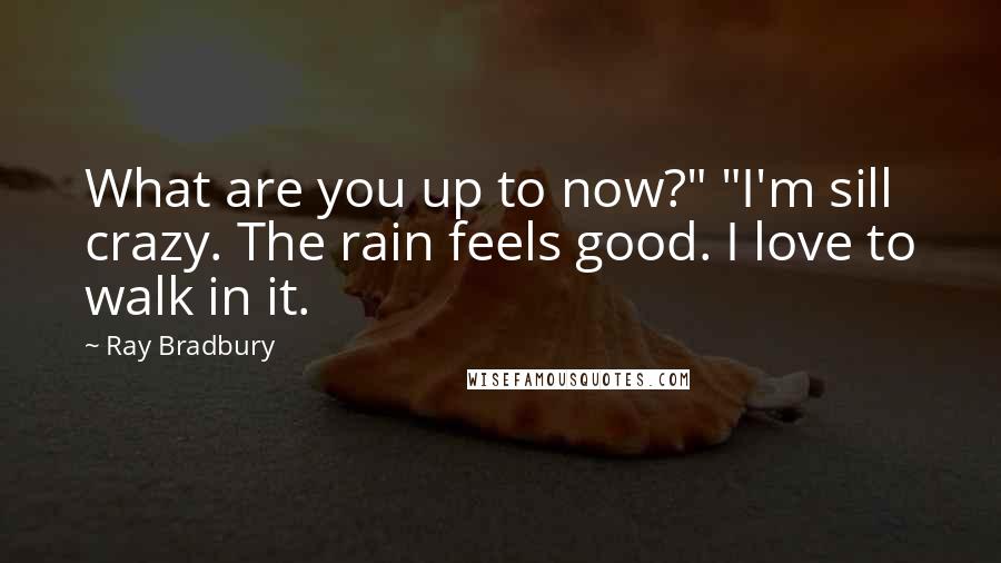 Ray Bradbury Quotes: What are you up to now?" "I'm sill crazy. The rain feels good. I love to walk in it.