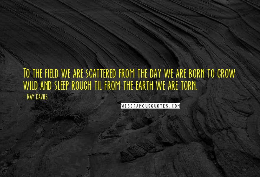 Ray Davies Quotes: To the field we are scattered from the day we are born to grow wild and sleep rough til from the earth we are torn.