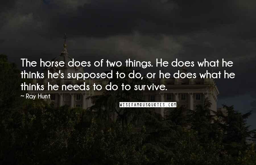 Ray Hunt Quotes: The horse does of two things. He does what he thinks he's supposed to do, or he does what he thinks he needs to do to survive.