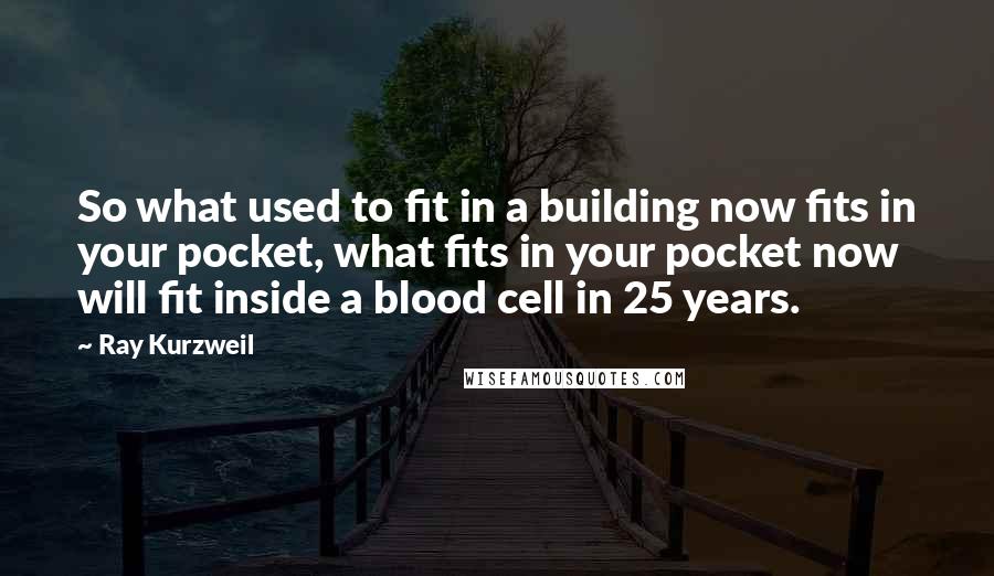 Ray Kurzweil Quotes: So what used to fit in a building now fits in your pocket, what fits in your pocket now will fit inside a blood cell in 25 years.