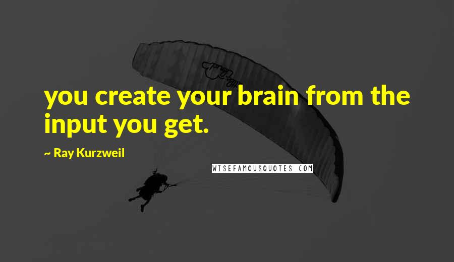 Ray Kurzweil Quotes: you create your brain from the input you get.