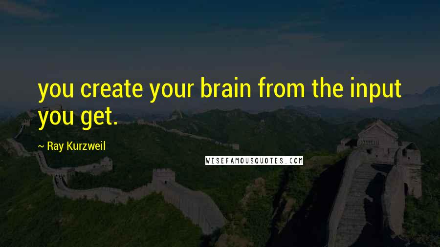 Ray Kurzweil Quotes: you create your brain from the input you get.