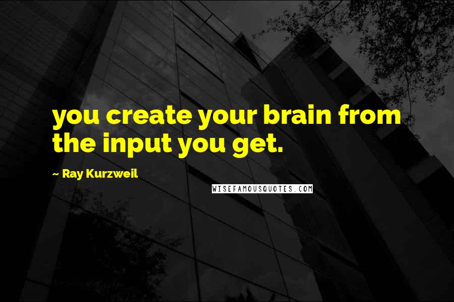 Ray Kurzweil Quotes: you create your brain from the input you get.