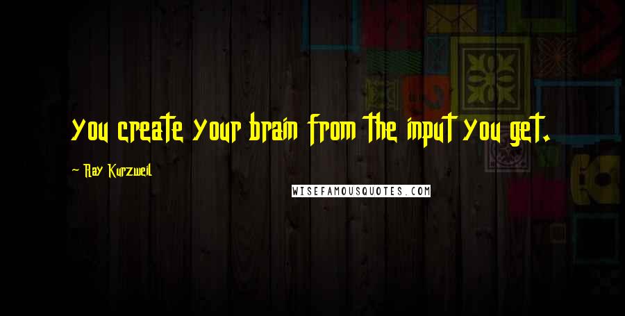 Ray Kurzweil Quotes: you create your brain from the input you get.