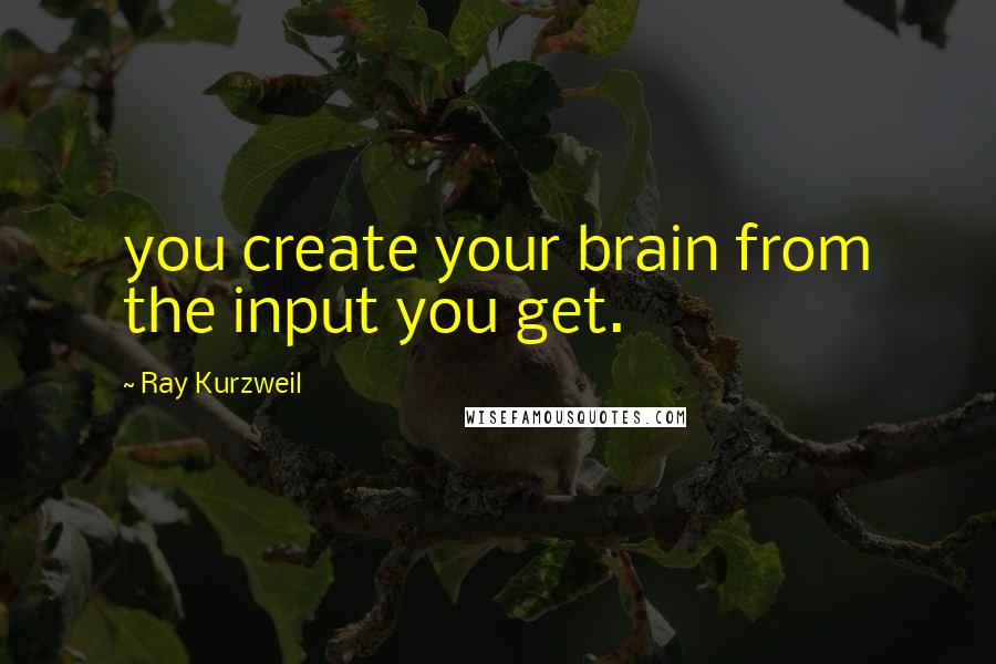Ray Kurzweil Quotes: you create your brain from the input you get.