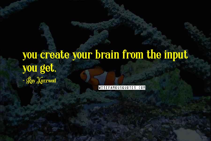 Ray Kurzweil Quotes: you create your brain from the input you get.