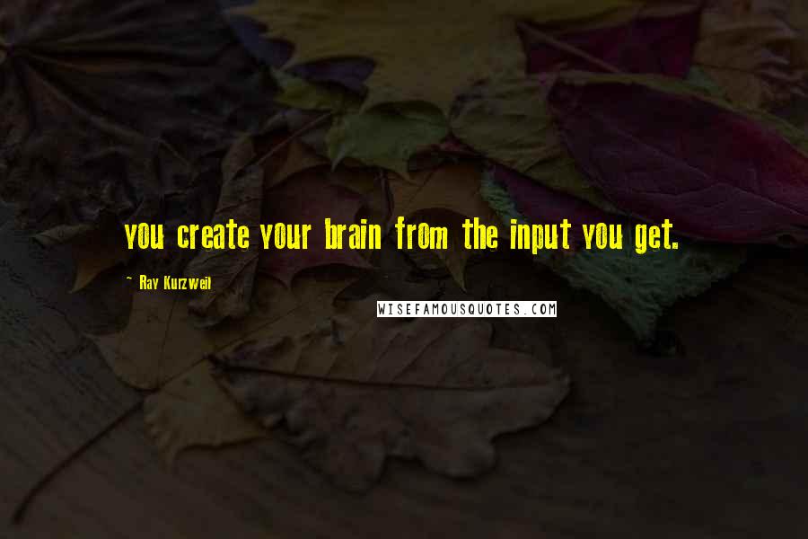 Ray Kurzweil Quotes: you create your brain from the input you get.