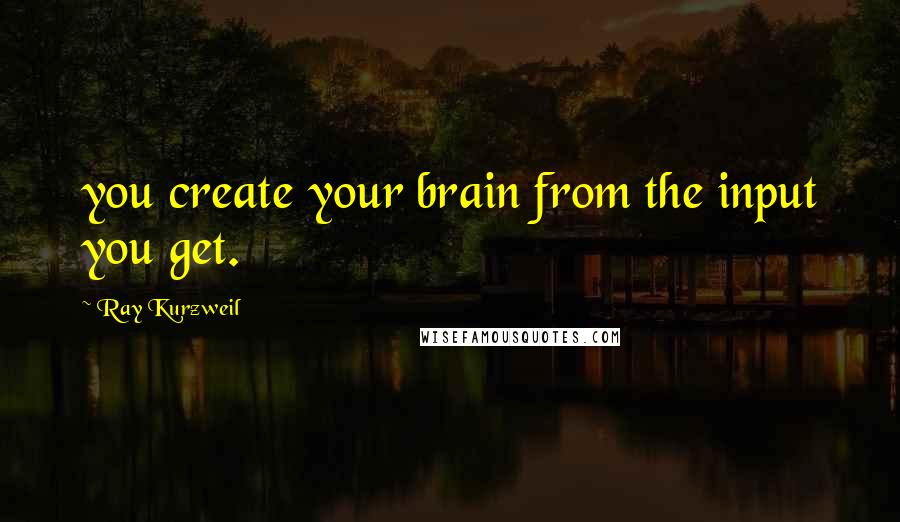 Ray Kurzweil Quotes: you create your brain from the input you get.
