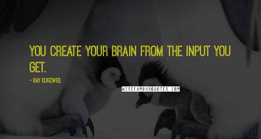 Ray Kurzweil Quotes: you create your brain from the input you get.