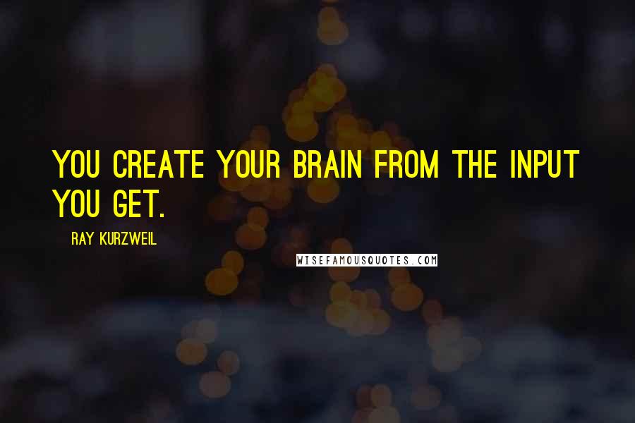 Ray Kurzweil Quotes: you create your brain from the input you get.