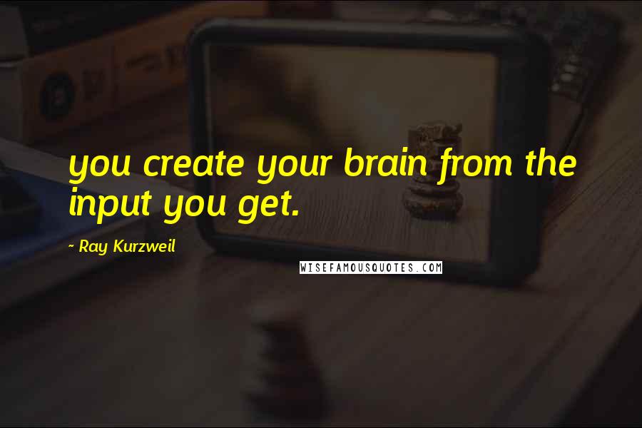 Ray Kurzweil Quotes: you create your brain from the input you get.