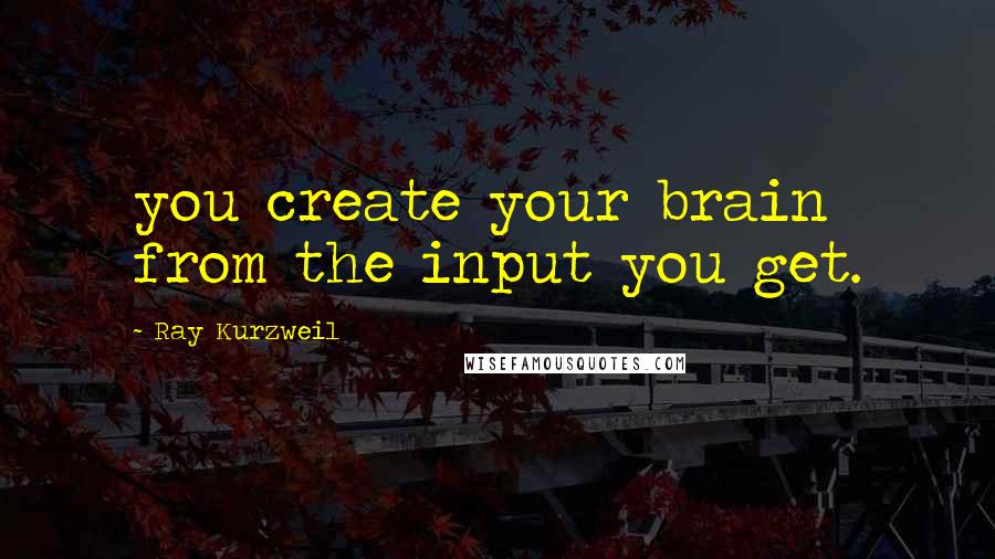 Ray Kurzweil Quotes: you create your brain from the input you get.