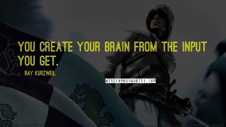 Ray Kurzweil Quotes: you create your brain from the input you get.