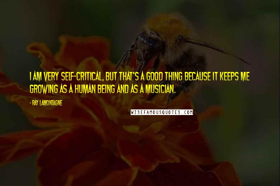 Ray Lamontagne Quotes: I am very self-critical, but that's a good thing because it keeps me growing as a human being and as a musician.