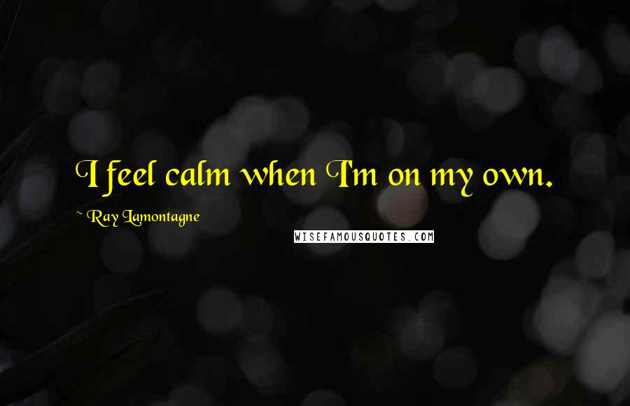 Ray Lamontagne Quotes: I feel calm when I'm on my own.