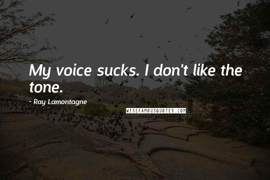 Ray Lamontagne Quotes: My voice sucks. I don't like the tone.