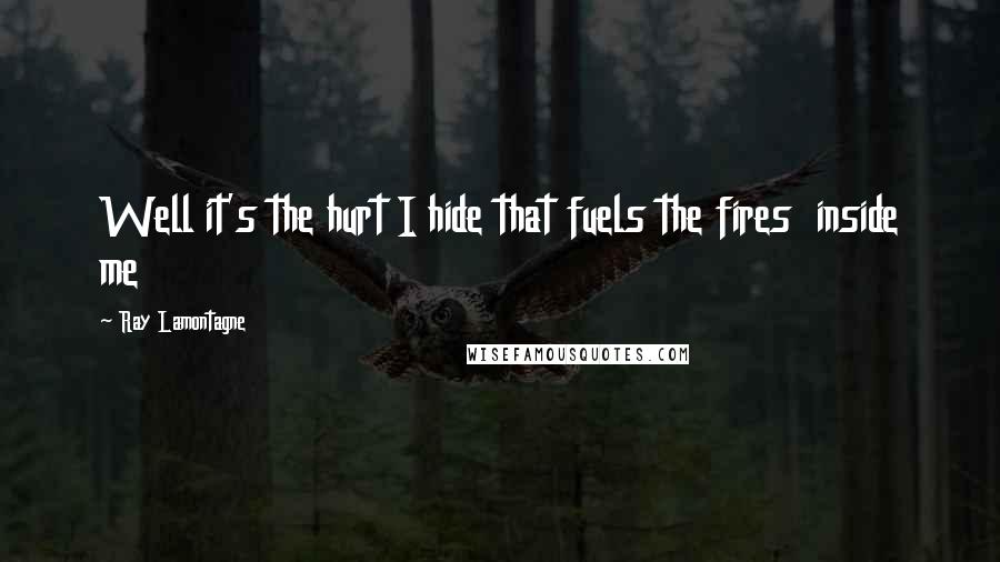 Ray Lamontagne Quotes: Well it's the hurt I hide that fuels the fires inside me
