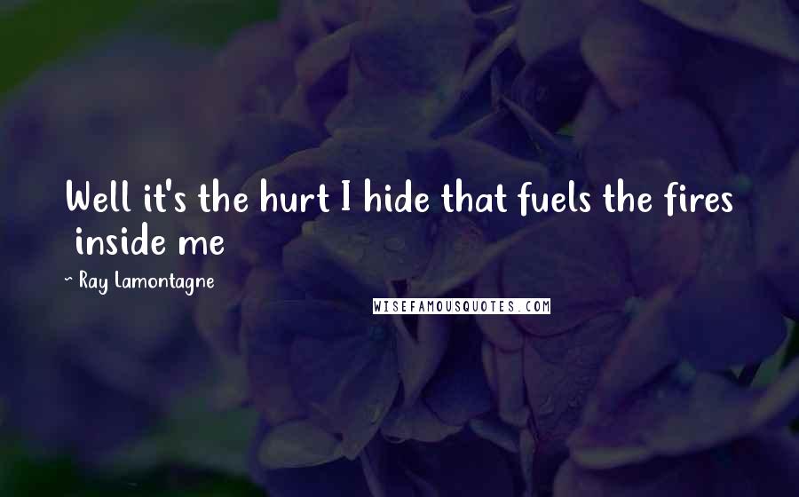 Ray Lamontagne Quotes: Well it's the hurt I hide that fuels the fires inside me
