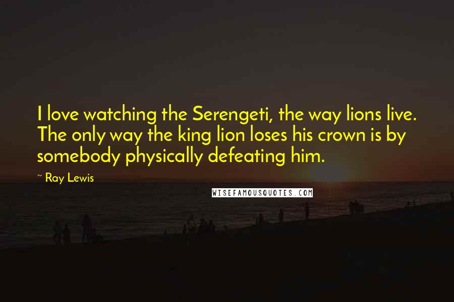 Ray Lewis Quotes: I love watching the Serengeti, the way lions live. The only way the king lion loses his crown is by somebody physically defeating him.
