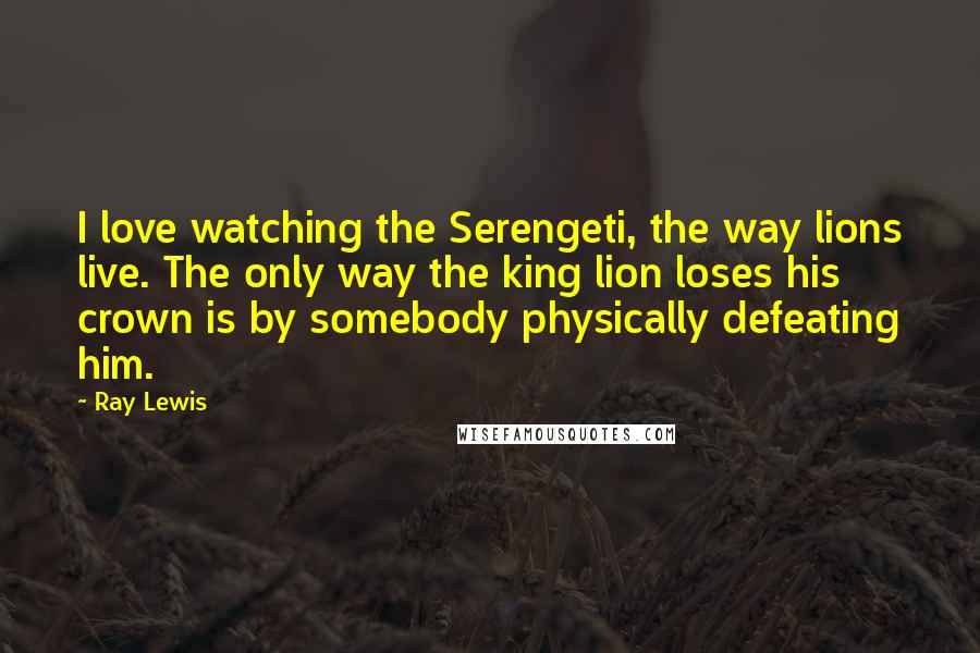 Ray Lewis Quotes: I love watching the Serengeti, the way lions live. The only way the king lion loses his crown is by somebody physically defeating him.