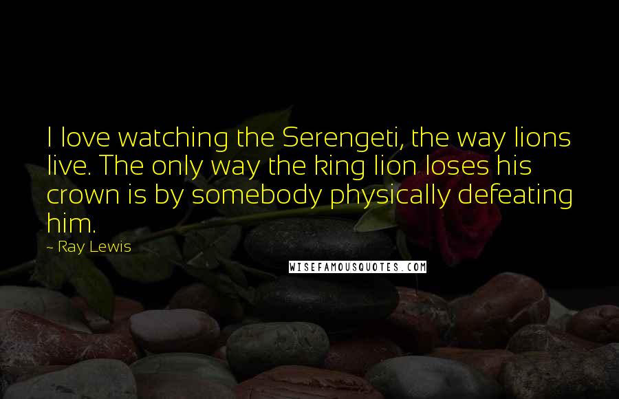 Ray Lewis Quotes: I love watching the Serengeti, the way lions live. The only way the king lion loses his crown is by somebody physically defeating him.