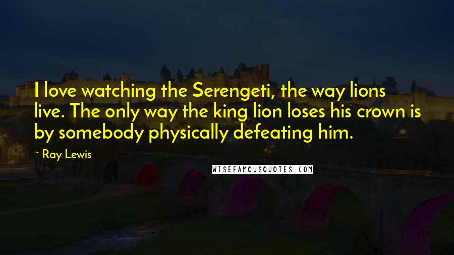 Ray Lewis Quotes: I love watching the Serengeti, the way lions live. The only way the king lion loses his crown is by somebody physically defeating him.