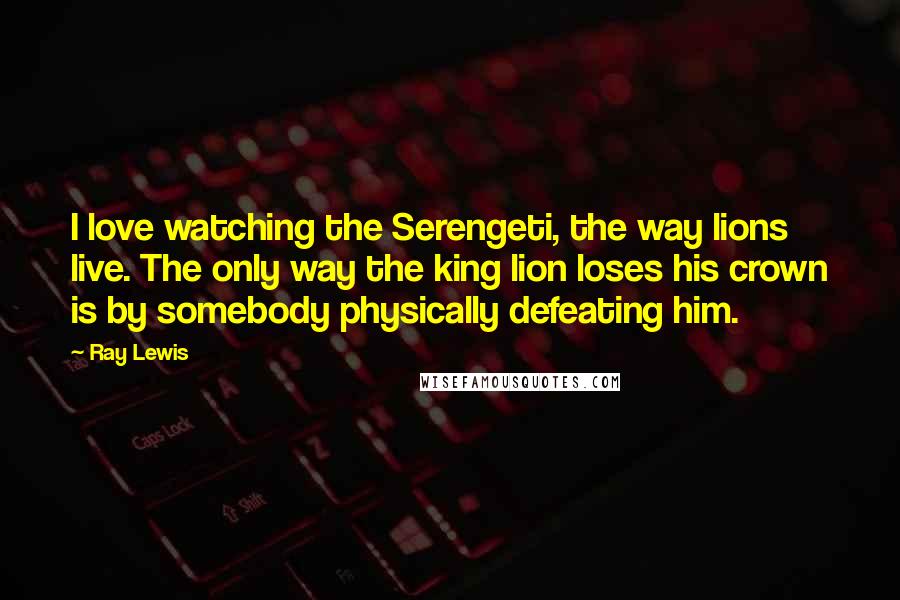 Ray Lewis Quotes: I love watching the Serengeti, the way lions live. The only way the king lion loses his crown is by somebody physically defeating him.