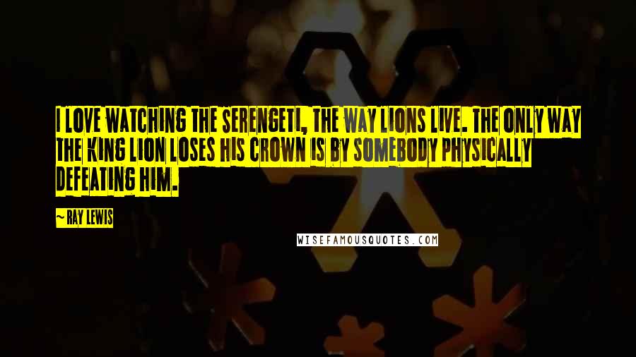 Ray Lewis Quotes: I love watching the Serengeti, the way lions live. The only way the king lion loses his crown is by somebody physically defeating him.