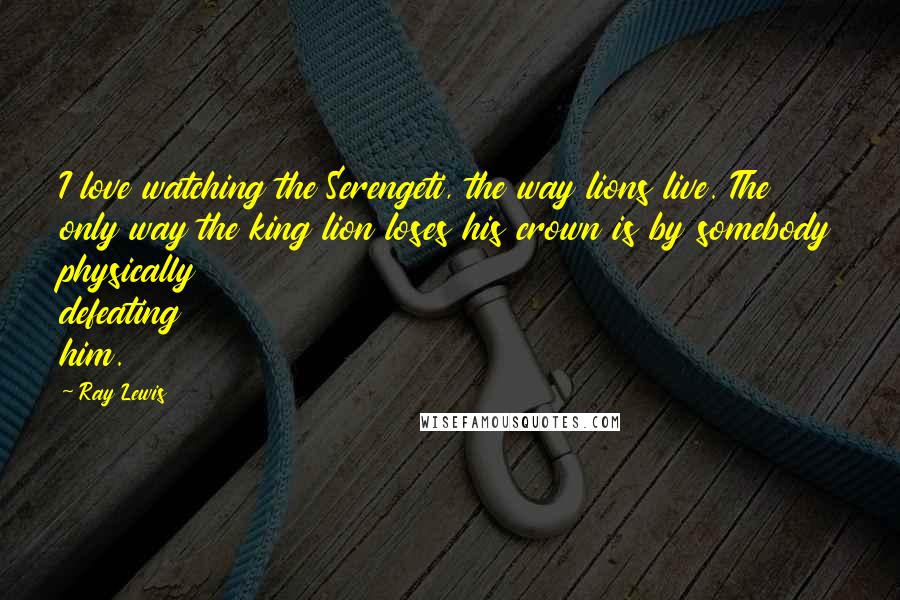 Ray Lewis Quotes: I love watching the Serengeti, the way lions live. The only way the king lion loses his crown is by somebody physically defeating him.