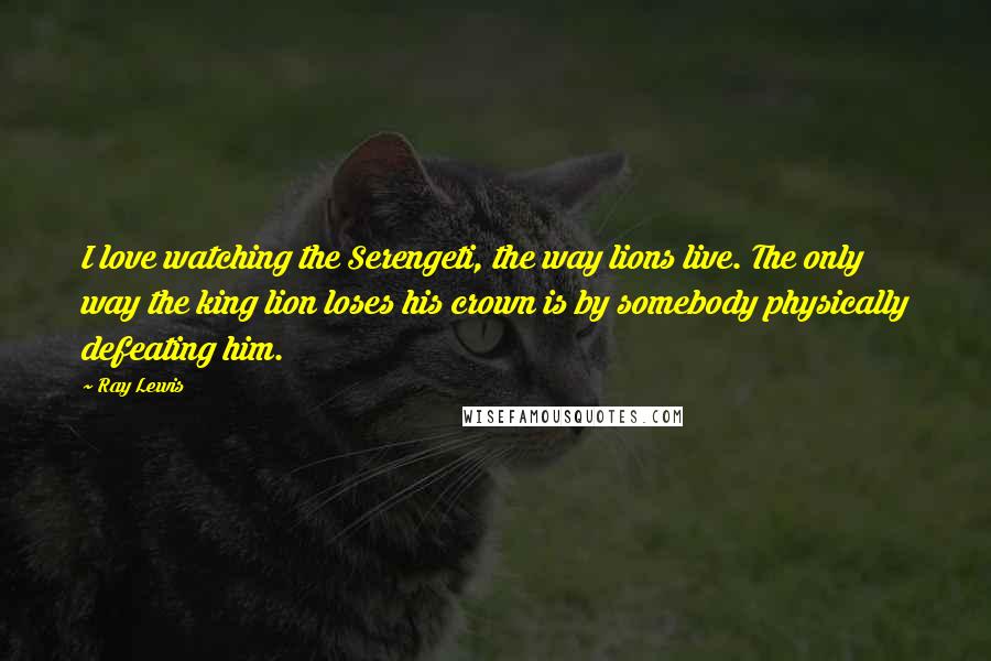 Ray Lewis Quotes: I love watching the Serengeti, the way lions live. The only way the king lion loses his crown is by somebody physically defeating him.