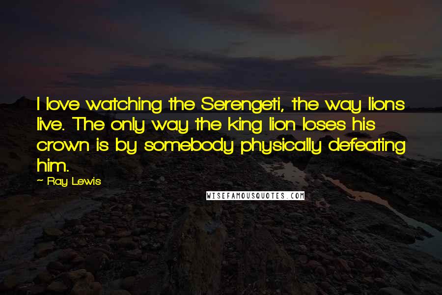 Ray Lewis Quotes: I love watching the Serengeti, the way lions live. The only way the king lion loses his crown is by somebody physically defeating him.