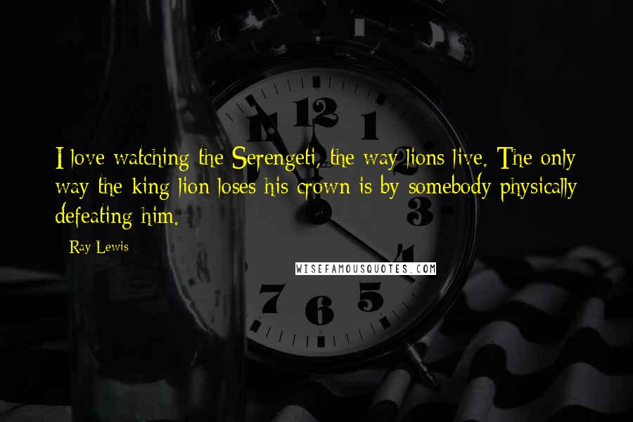 Ray Lewis Quotes: I love watching the Serengeti, the way lions live. The only way the king lion loses his crown is by somebody physically defeating him.