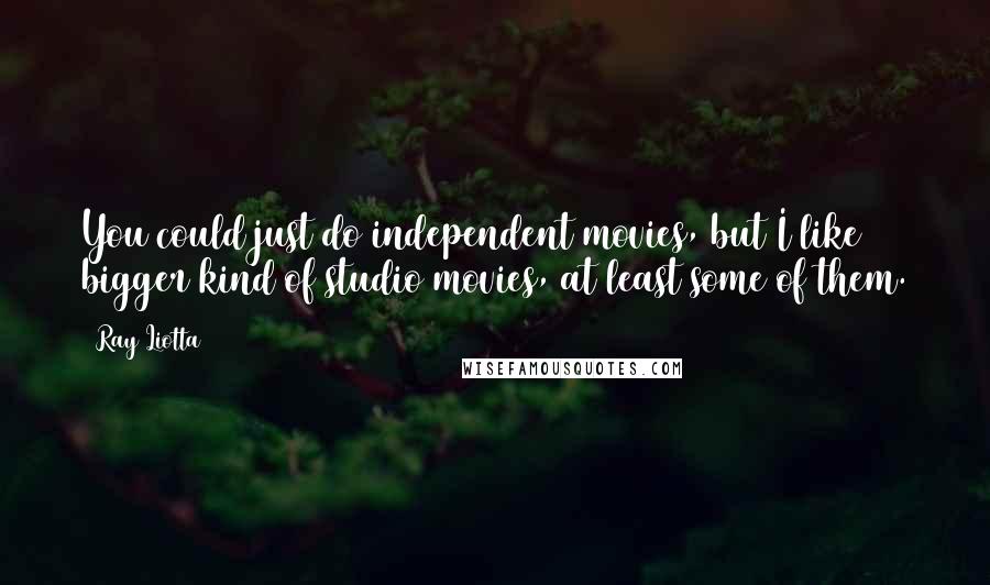 Ray Liotta Quotes: You could just do independent movies, but I like bigger kind of studio movies, at least some of them.