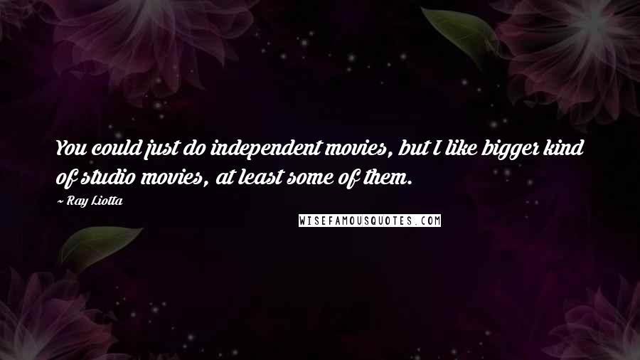 Ray Liotta Quotes: You could just do independent movies, but I like bigger kind of studio movies, at least some of them.