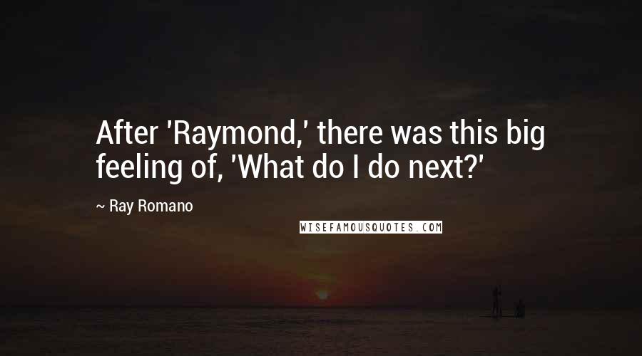 Ray Romano Quotes: After 'Raymond,' there was this big feeling of, 'What do I do next?'