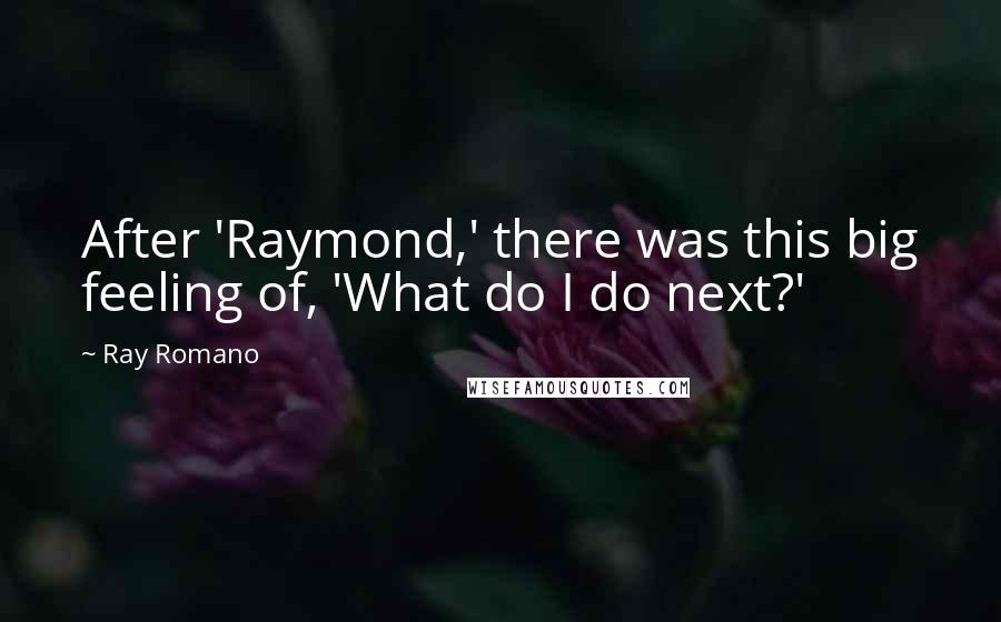 Ray Romano Quotes: After 'Raymond,' there was this big feeling of, 'What do I do next?'