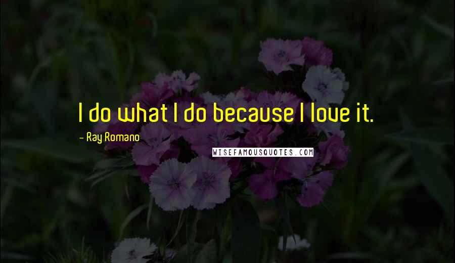 Ray Romano Quotes: I do what I do because I love it.