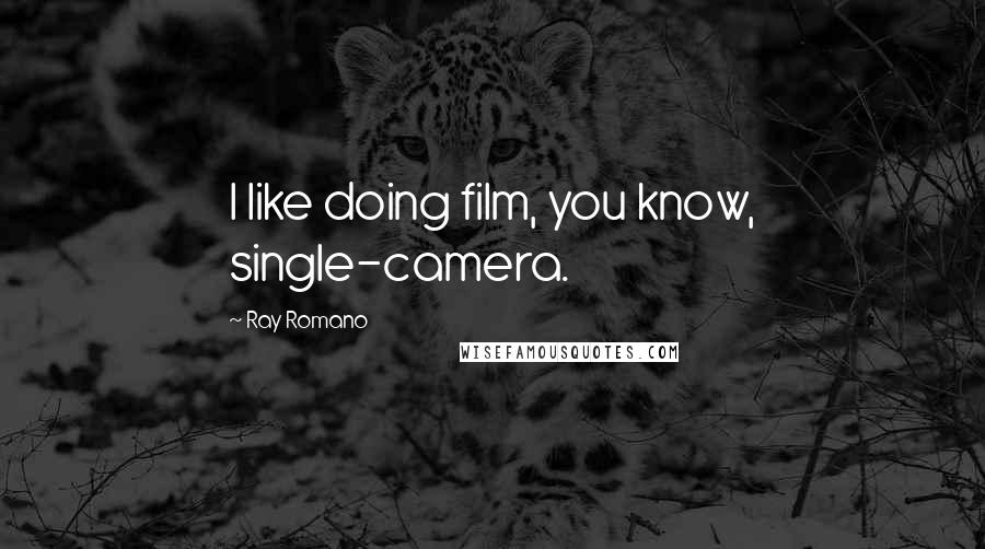Ray Romano Quotes: I like doing film, you know, single-camera.