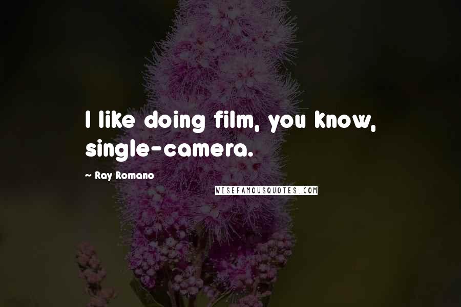 Ray Romano Quotes: I like doing film, you know, single-camera.