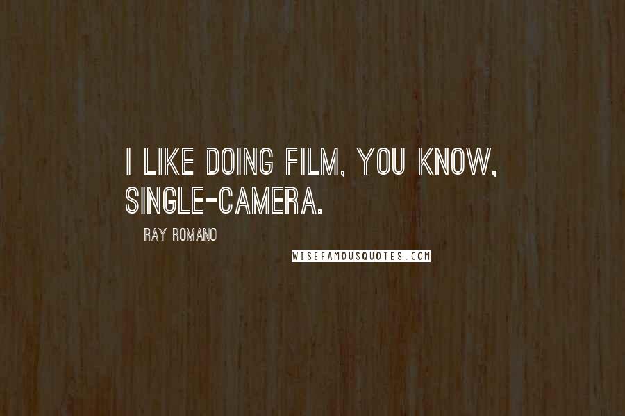 Ray Romano Quotes: I like doing film, you know, single-camera.