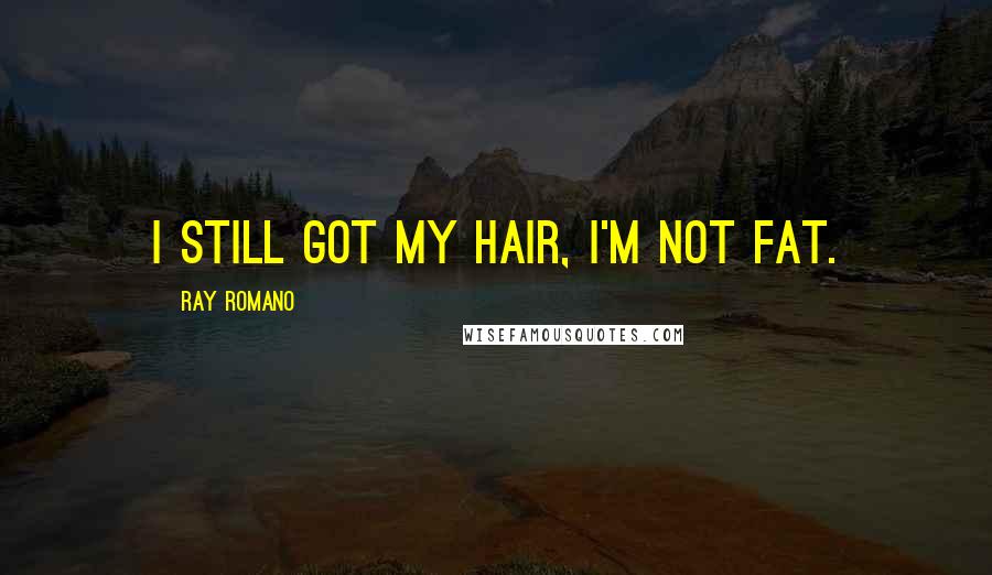 Ray Romano Quotes: I still got my hair, I'm not fat.