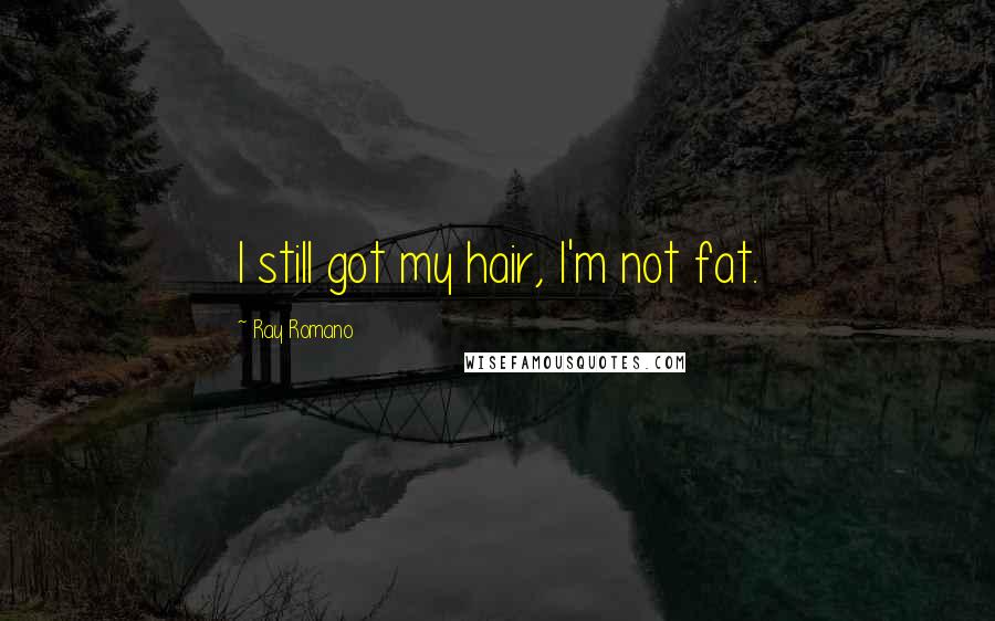 Ray Romano Quotes: I still got my hair, I'm not fat.