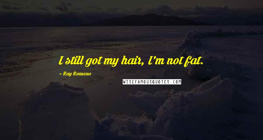 Ray Romano Quotes: I still got my hair, I'm not fat.