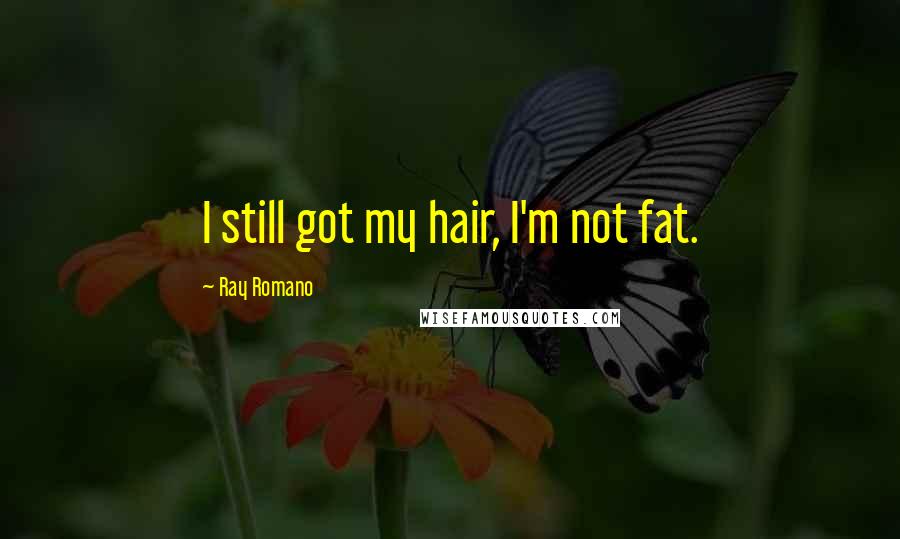 Ray Romano Quotes: I still got my hair, I'm not fat.