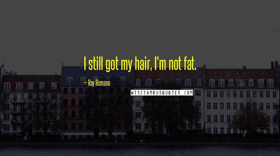 Ray Romano Quotes: I still got my hair, I'm not fat.