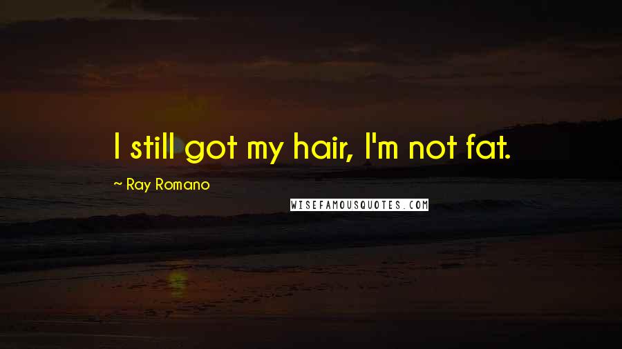 Ray Romano Quotes: I still got my hair, I'm not fat.