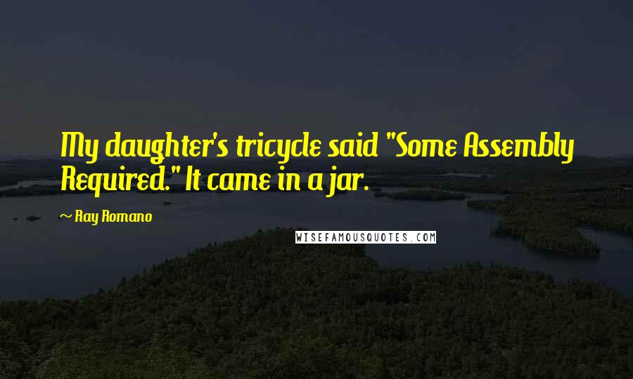 Ray Romano Quotes: My daughter's tricycle said "Some Assembly Required." It came in a jar.