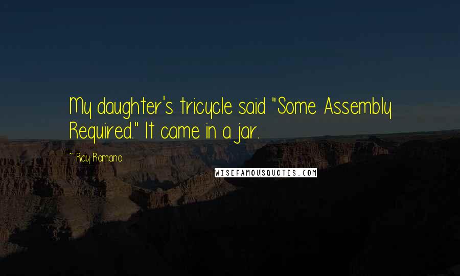 Ray Romano Quotes: My daughter's tricycle said "Some Assembly Required." It came in a jar.