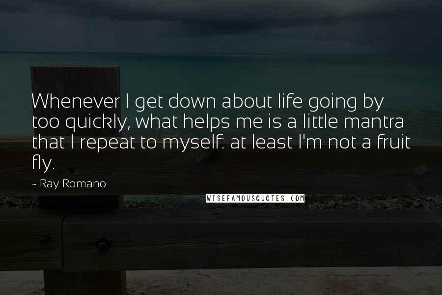 Ray Romano Quotes: Whenever I get down about life going by too quickly, what helps me is a little mantra that I repeat to myself: at least I'm not a fruit fly.