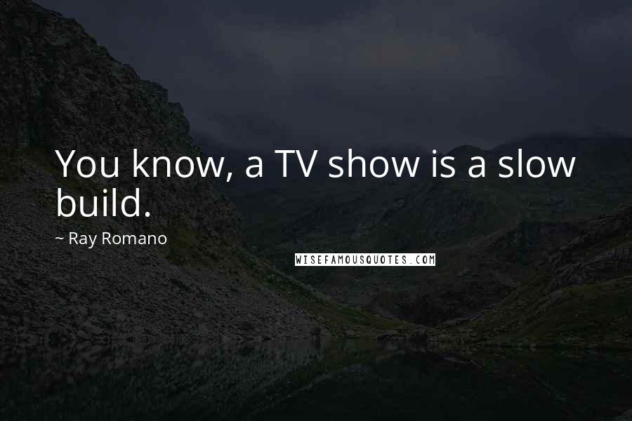 Ray Romano Quotes: You know, a TV show is a slow build.